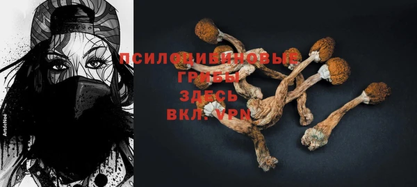 сатива Мегион