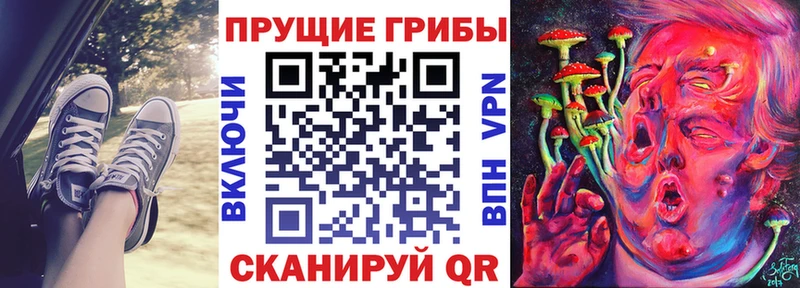 купить наркотик  Чебаркуль  Псилоцибиновые грибы Psilocybe 